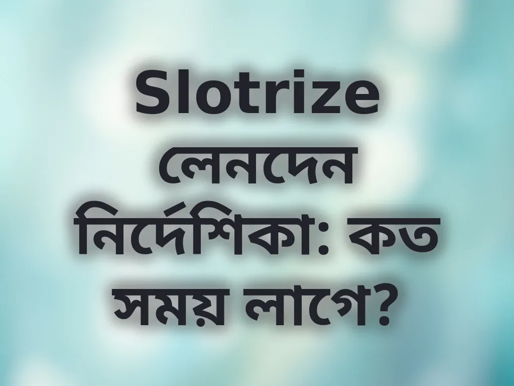 লেনদেন সময় নির্দেশিকা